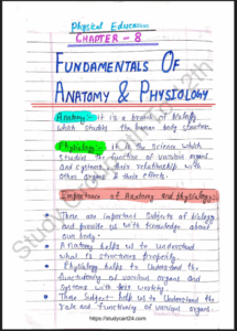 Chapter 7: Fundamentals of Anatomy and Physiology Class 11 Physical Education Handwritten Notes PDF Download