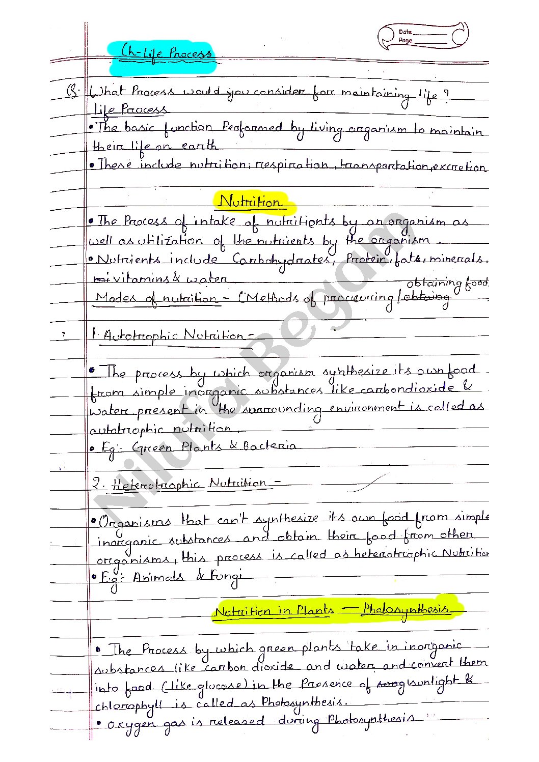Class 10 Life process chapter Handwritten Notes PDF Download